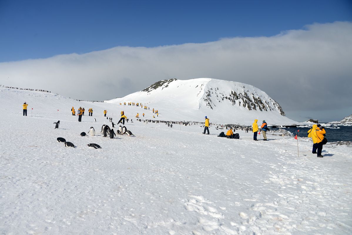 13A Tourists And Penguins On Aitcho Barrientos Island In South Shetland Islands On Quark Expeditions Antarctica Cruise